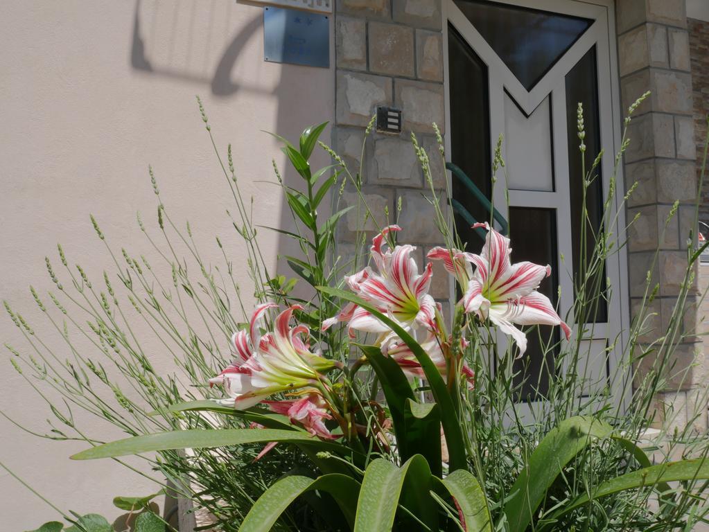 Guest House Almond Bečići Eksteriør bilde